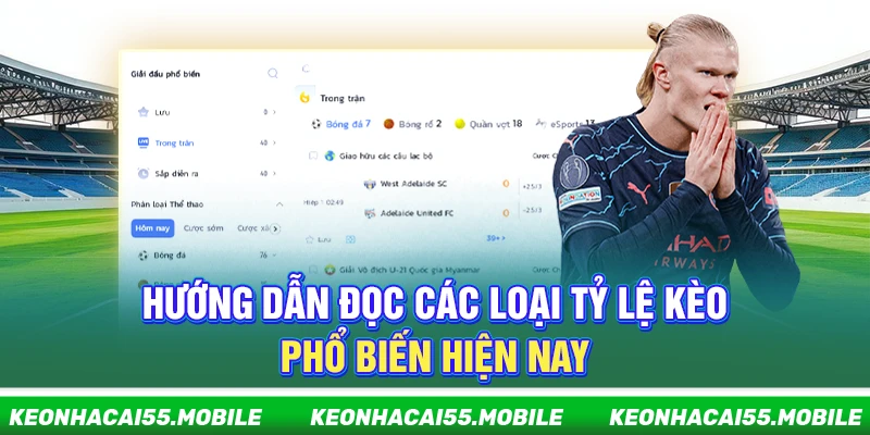 Kèo Nhà Cái - Soi Kèo Bóng Đá Hot Nhất World Cup【2026】 13 Hướng dẫn đọc các loại tỷ lệ kèo phổ biến hiện nay
