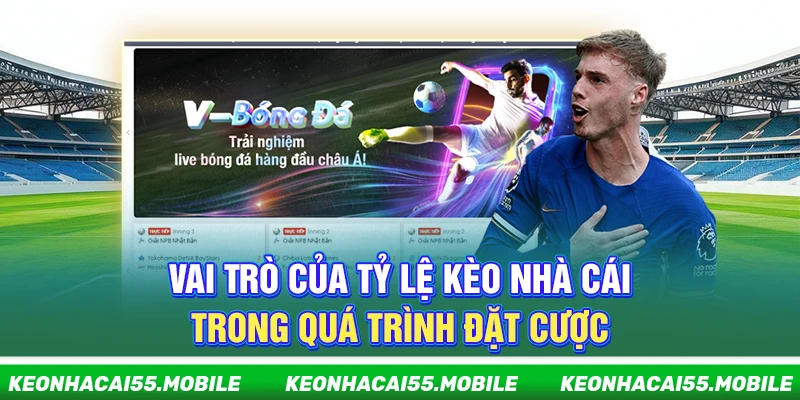 Kèo Nhà Cái - Soi Kèo Bóng Đá Hot Nhất World Cup【2026】 12 Vai trò của tỷ lệ kèo nhà cái trong quá trình đặt cược